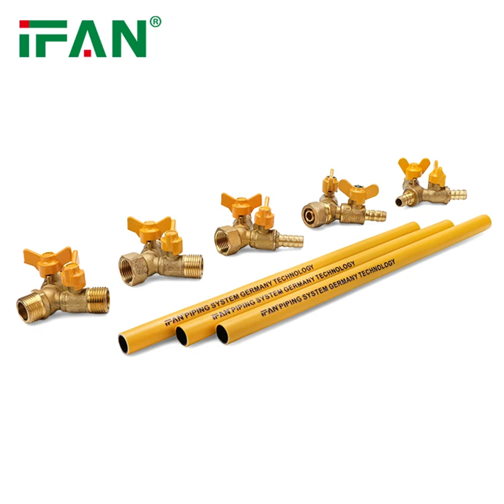 OEM 2'' Brass Gas Valves